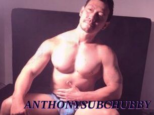 ANTHONYSUBCHUBBY