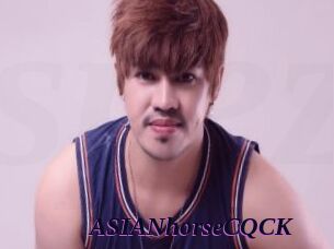 ASIANhorseCQCK
