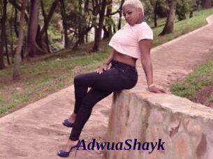 AdwuaShayk