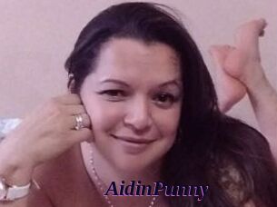 AidinPunny