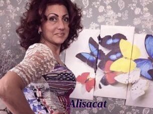 Alisacat