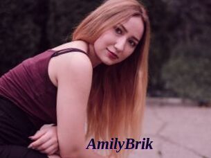 AmilyBrik