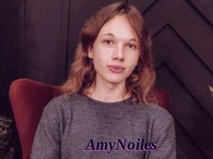 AmyNoiles