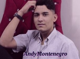 AndyMontenegro