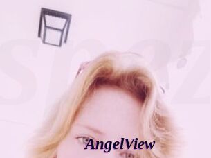 AngelView