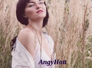 AngyHott