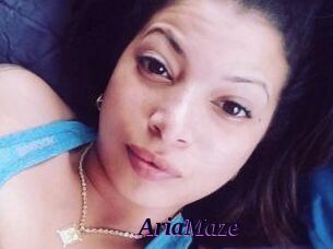 Aria_Maze