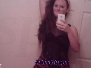 AriesGinger