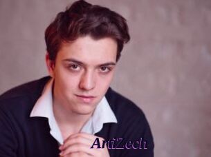 ArtiZech