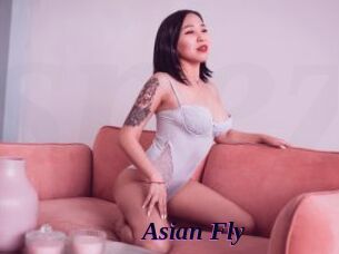 Asian_Fly
