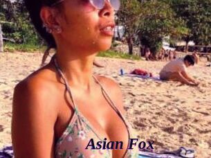 Asian_Fox