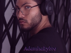 adamhairybro Spezial Sexcam