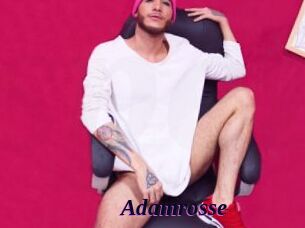 Adamrosse