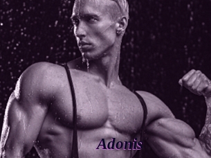Adonis_