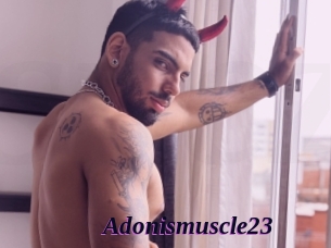 Adonismuscle23