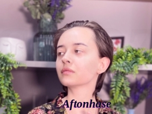 Aftonhase