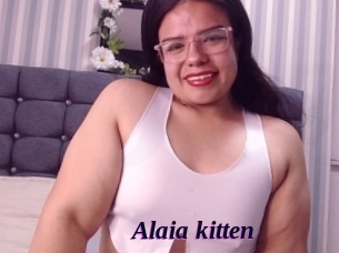 Alaia_kitten