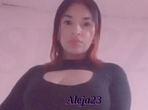 Aleja23