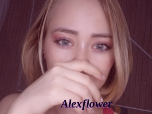 Alexflower