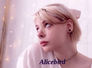 Alicebird