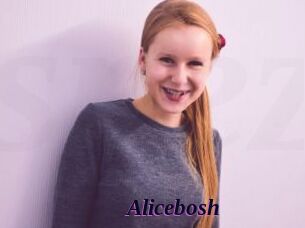 Alicebosh