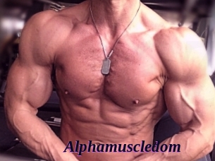 alphamuscledom Spezial Sexcam
