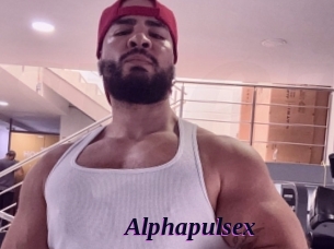 alphapulsex Spezial Sexcam