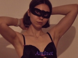 Aminet