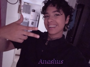 Anashus