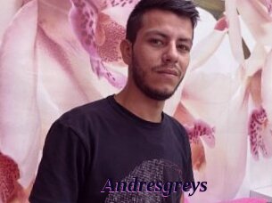 Andresgreys