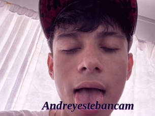 Andreyestebancam
