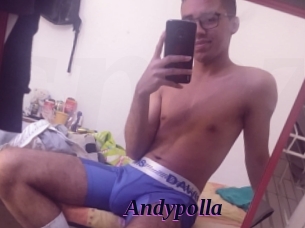 Andypolla