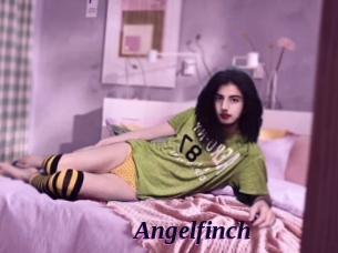 Angelfinch