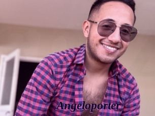 Angeloporter