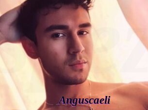 Anguscaeli