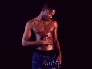Anibig