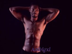 Anibigxl