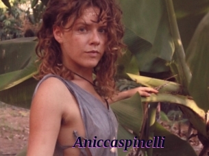 Aniccaspinelli