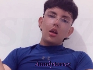 Anndytorrez