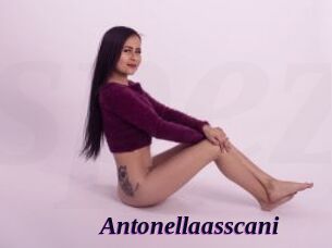 Antonellaasscani