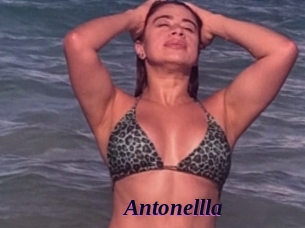 Antonellla