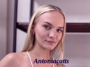 Antoniacatts