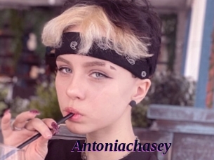 Antoniachasey