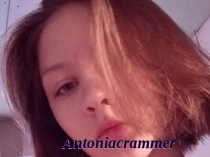 Antoniacrammer