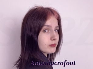 Antoniacrofoot