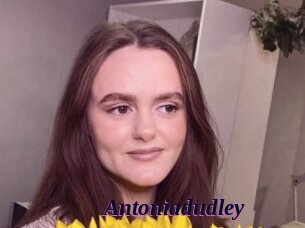 Antoniadudley