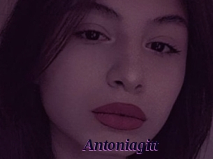 Antoniagitt