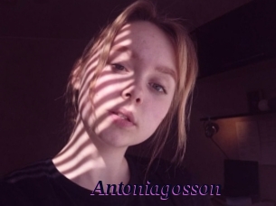 Antoniagosson