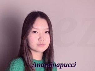 Antoninapucci