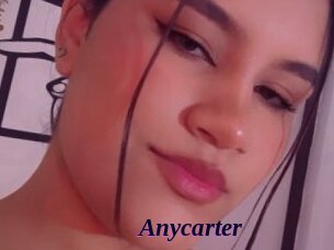 Anycarter